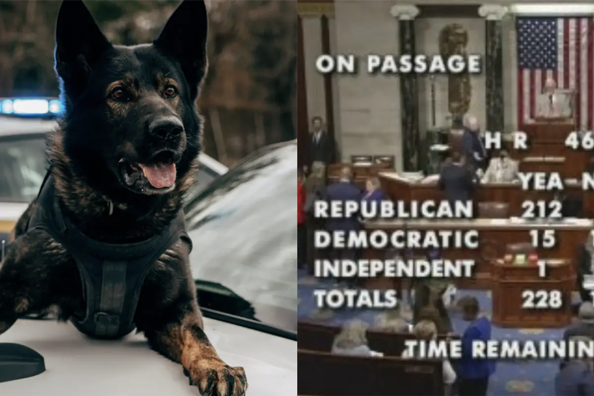 Democrats vote in near unison AGAINST deporting illegals who viciously attack dogs