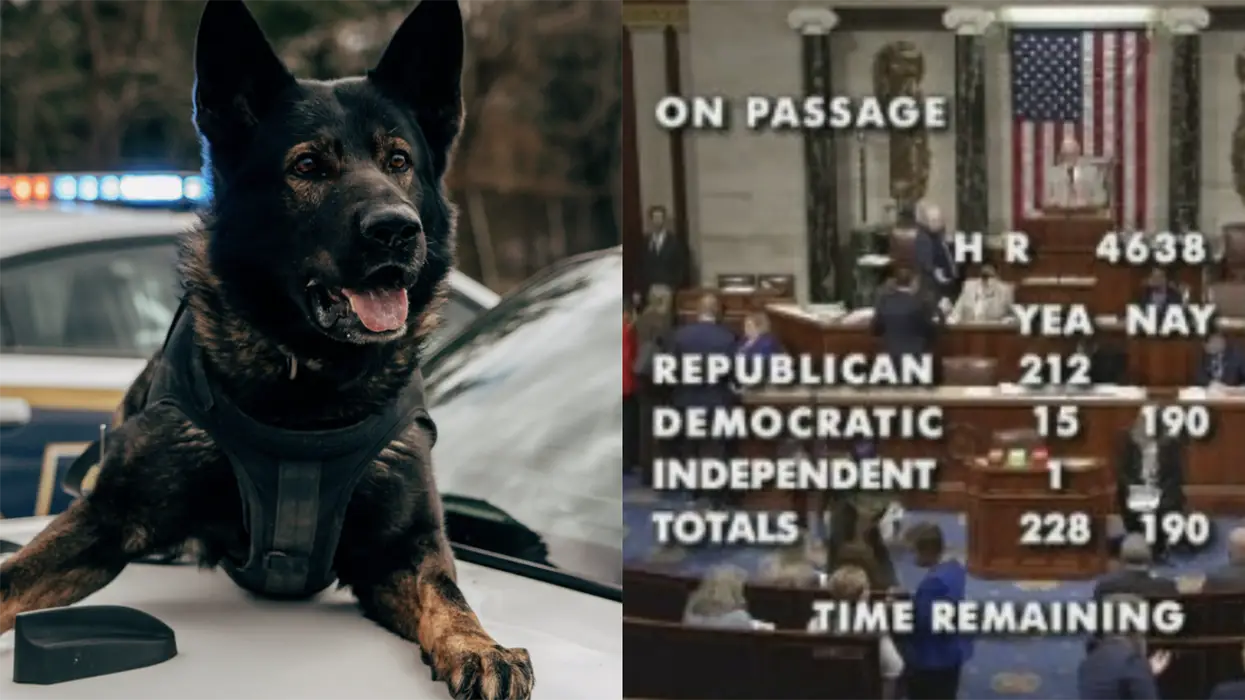 Democrats vote in near unison AGAINST deporting illegals who viciously attack dogs