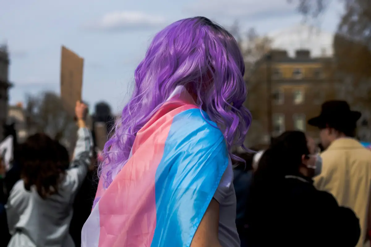 Kansas Bars Transgender Driver's License Because There Are Only *Checks Notes* Two Genders