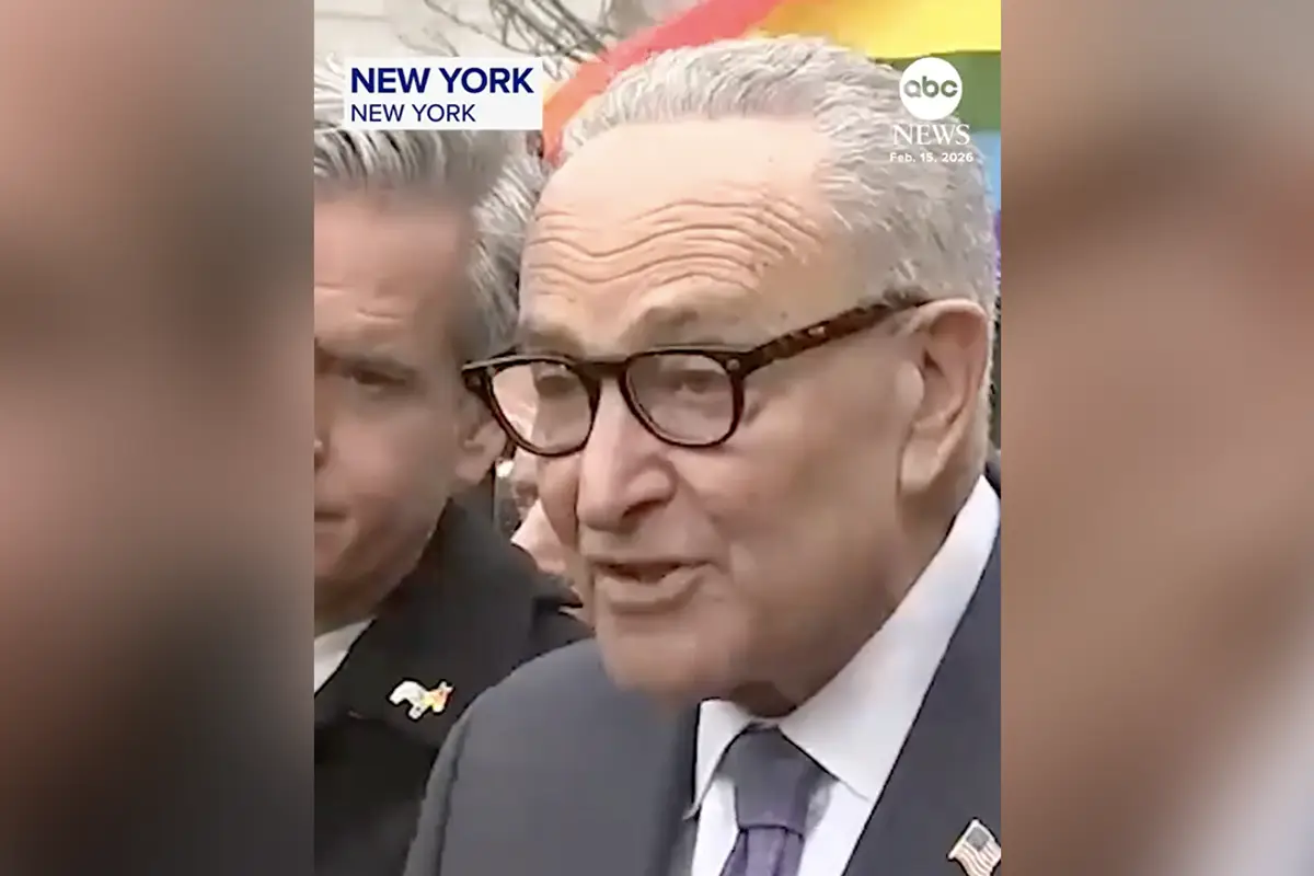 Chuck Schumer announces his new Democrat priority...mandating the Pride flag everywhere