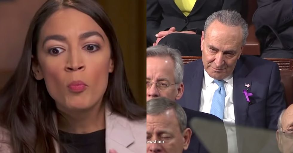 WATCH: Someone Mashed Up the Democrats with 'Planet Earth' Narration. It's GENIUS!
