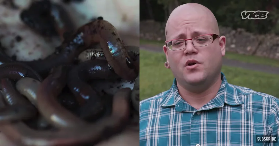 Slope Slipped: Vice is Showcasing "Formicophilia" for People Who Enjoy Sex Play with Bugs