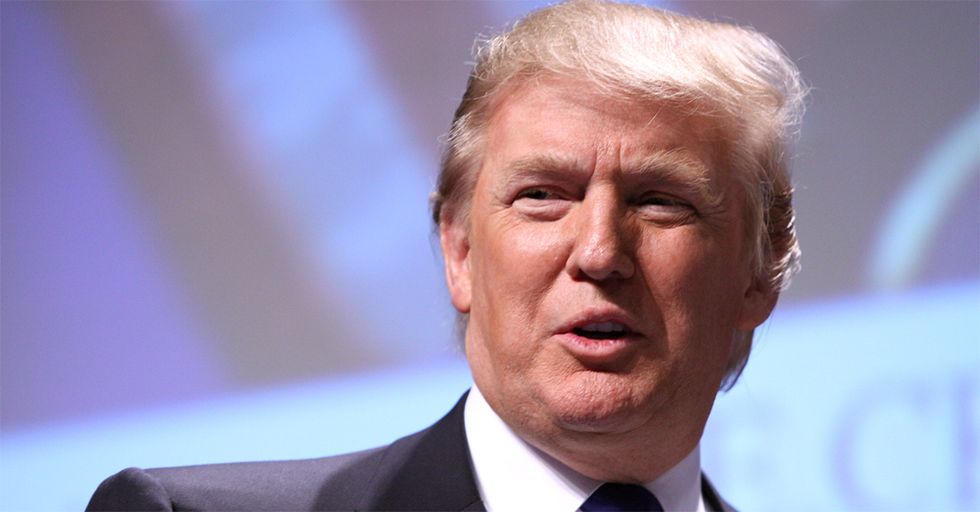 New NYT/Siena Poll Shows Some Good News for Donald Trump