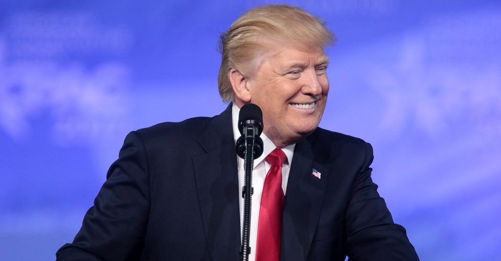 Shock Poll: Over Half of Americans Expect Trump to be Re-elected