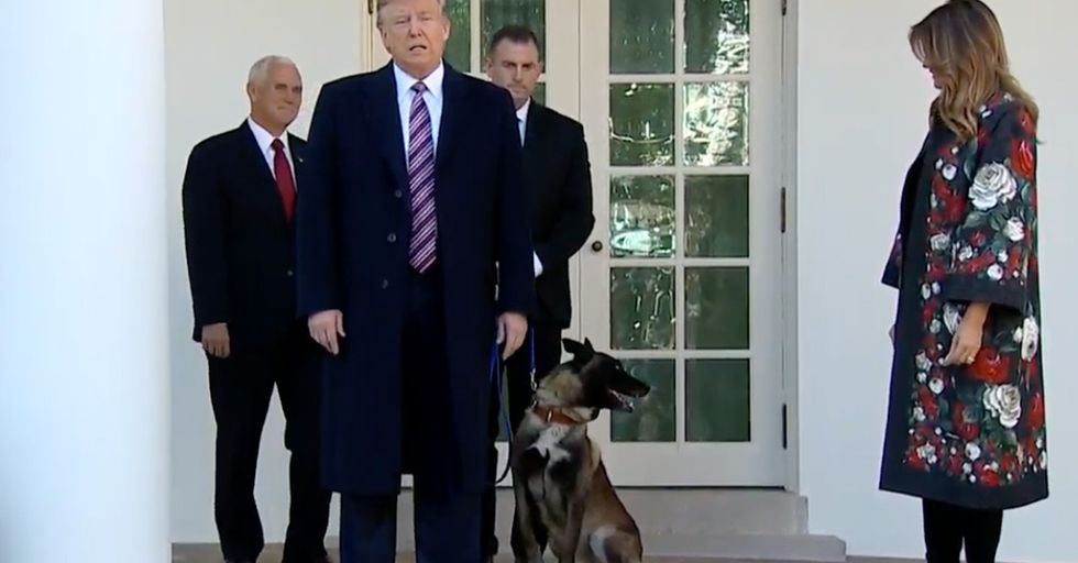 Donald Trump Had Conan, A Very Good Boy, to the White House