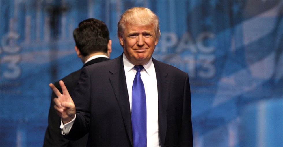 New NYTimes Poll Shows Donald Trump Has Key Support in Battleground States