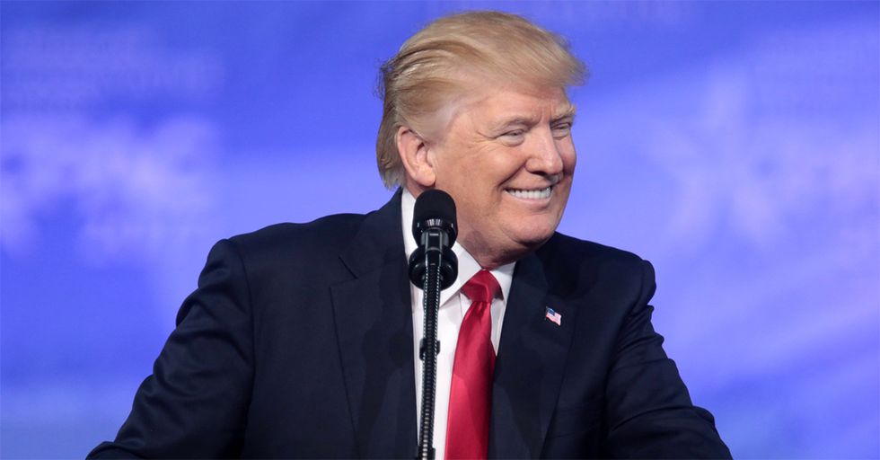 NEW POLLS: Trump Beats ALL Opponents...and Hillary Clinton