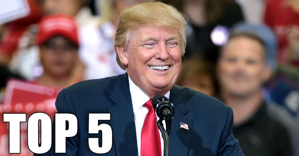 Donald Trump's Top 5 Twitter Moments (and Burns) of 2019