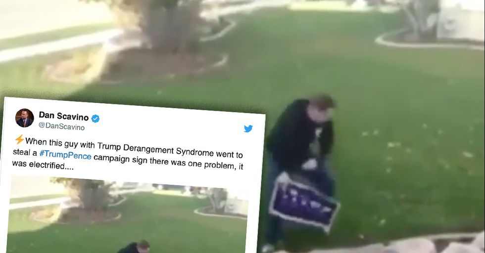 White House Official Shares Video of Leftist Trying to Steal Trump Sign. The Sign is Electrified.