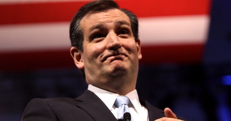 Ted Cruz Wins the Internet with Amazing Self-Deprecating Tweet