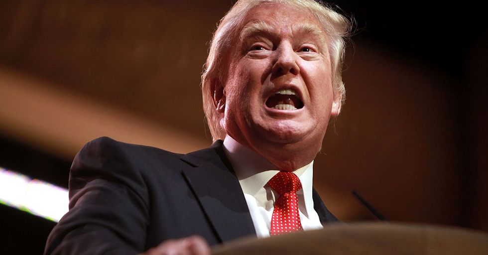 Donald Trump Calls Democrats' Bluff, Wants to Send Illegals to Sanctuary Cities!