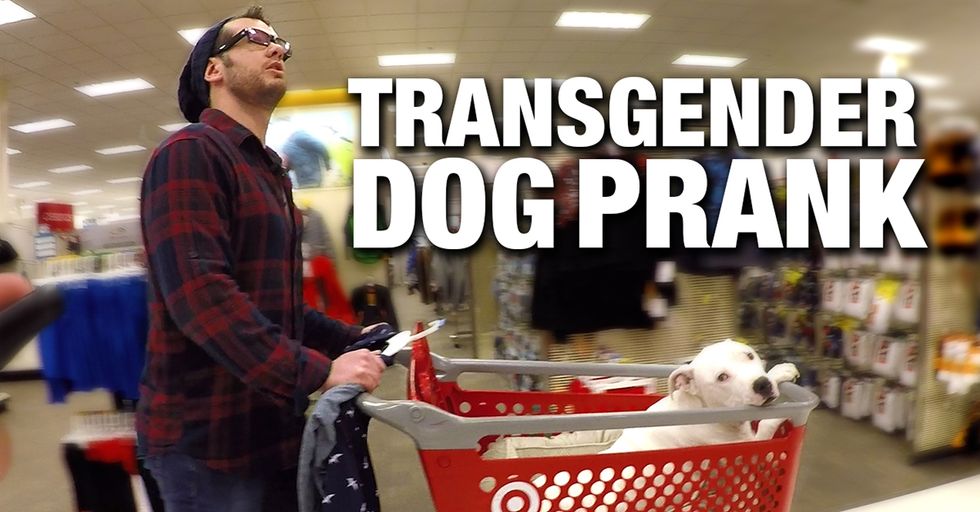HIDDEN CAM: Hilarious 'Transgender' Dog Prank!