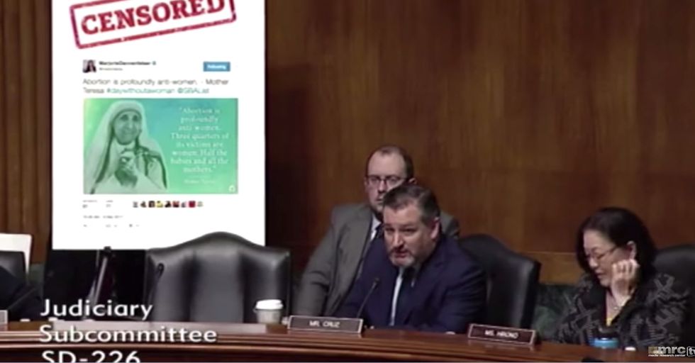 WATCH: Ted Cruz Asks Twitter Executive if Mother Theresa is Hate Speech