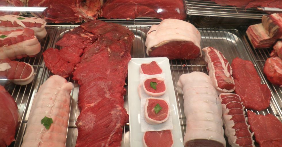 Newsweek Attacks "the Carnivore Diet" and Meat Eaters as Right Wing Trolls
