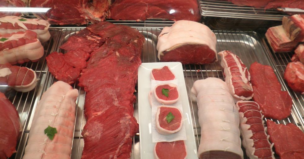 Newsweek Attacks "the Carnivore Diet" and Meat Eaters as Right Wing Trolls