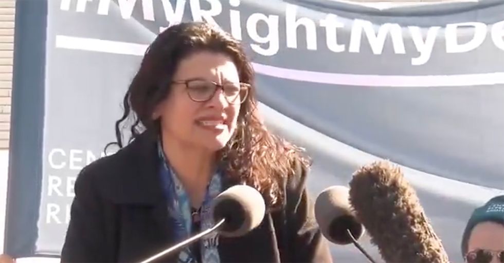 Rep. Rashida Tlaib: If You're Pro-Life, Stop Trying to Have Sex with Me [VIDEO]