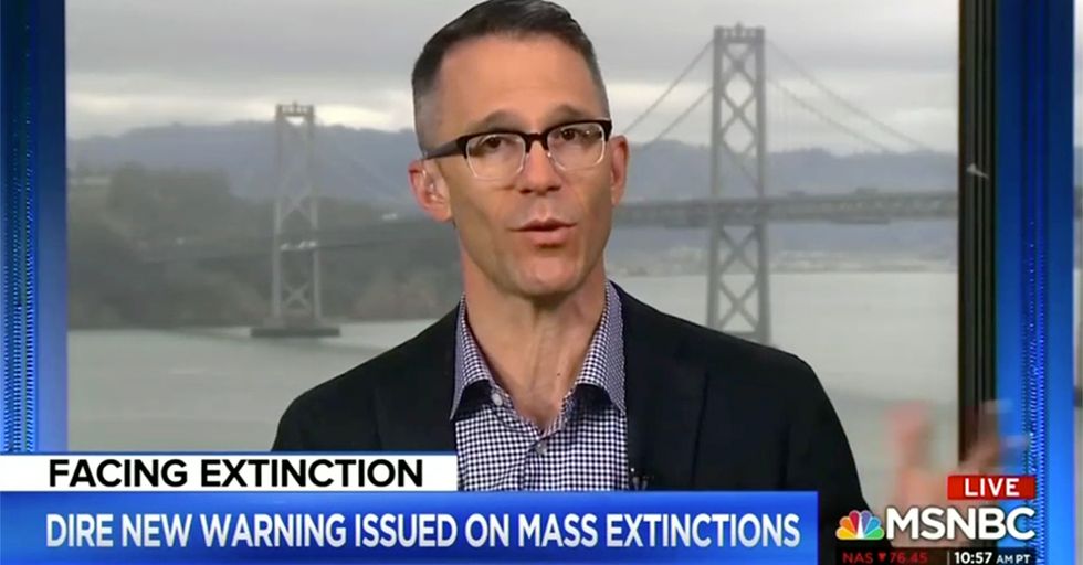 MSNBC Guest Compares Climate Change to Space Alien Invasion