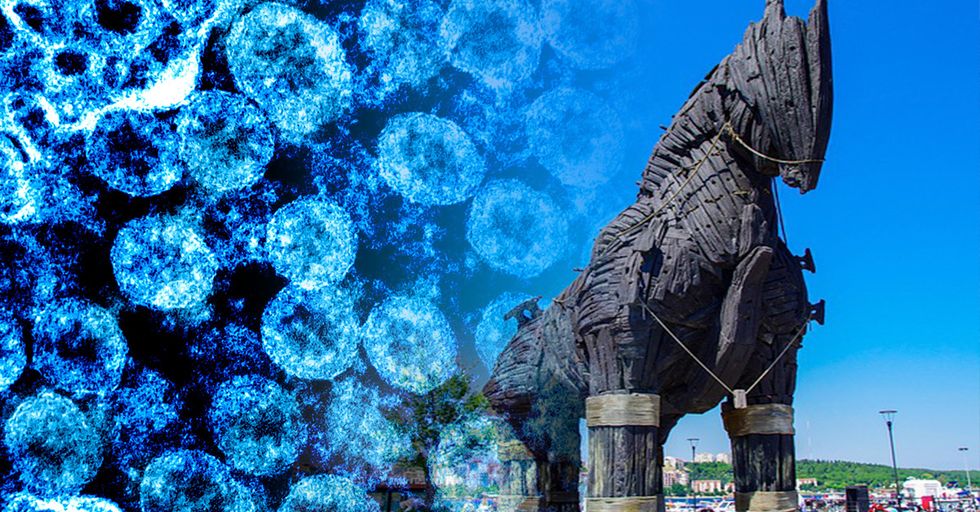 OPINION: Coronavirus Panic is a Trojan Horse for Socialism