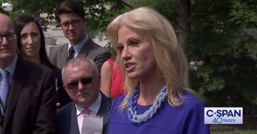 WATCH: Kellyanne Conway Tears into Elitist Nancy Pelosi