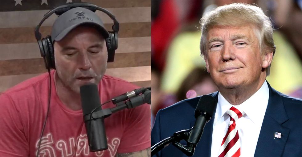 Joe Rogan Chooses Trump Over Biden: Democrats Have 'Made Us All Morons' [VIDEO]