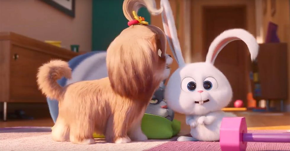 'Secret Life of Pets 2' Attacked by Leftists for not Being Woke Enough