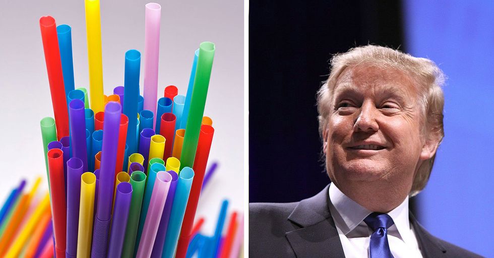 Trump Trolls Leftists by Selling Plastic Straws on Campaign Site