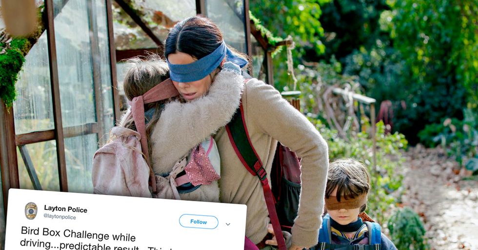 Blindfolded Teen Crashes Car While Doing 'Bird Box Challenge'