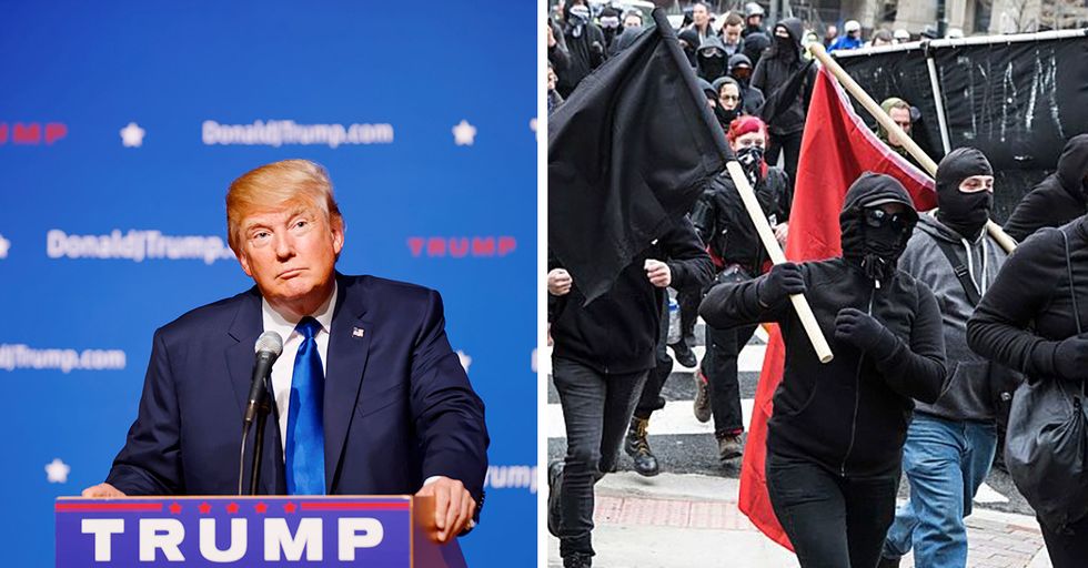 Donald Trump is in Favor of Labeling Antifa as a Terrorist Group