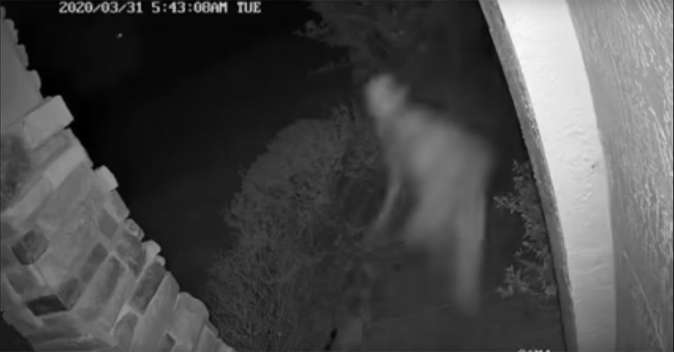 Florida Woman Shoots Burglar WHILE on the Phone with 911