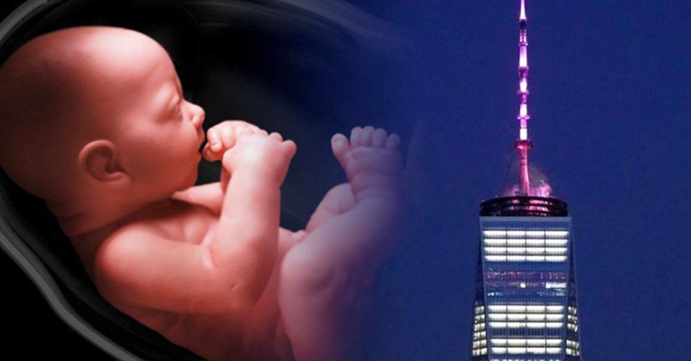 Board Certified OB/GYN Drops Truth Bomb on New York Abortion Law
