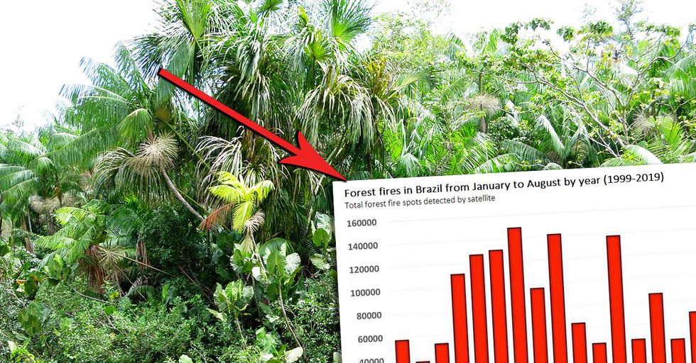 Actually, Amazon Forest Fire Isn't Nearly as Bad as Media Claims