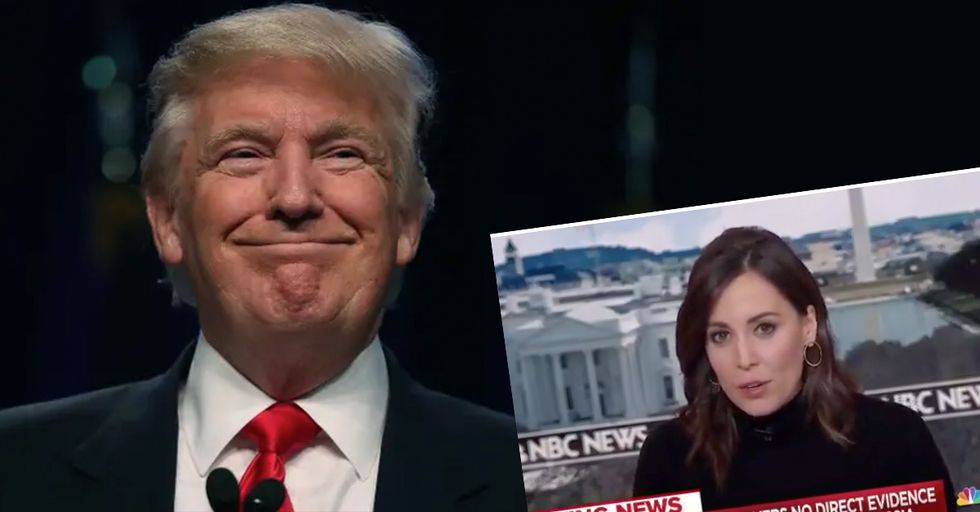 Donald Trump Just Thanked MSBNC For Admitting No Evidence in Russian Collusion Story