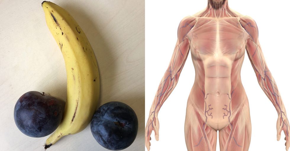 Transgender Actress Says Transwomen have "Biological Female Penises"