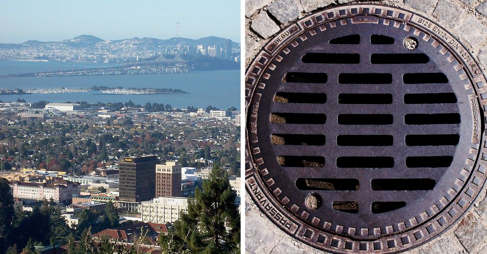 Berkeley City Council Removes 'Man-Centric' Words from Municipal Code