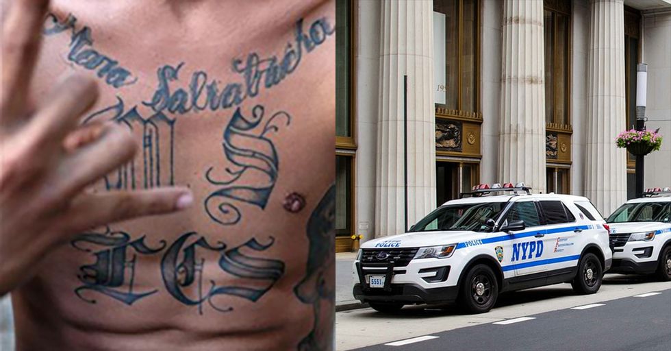 Report: MS-13 Planning to Kill NYPD Officers IN THEIR HOMES