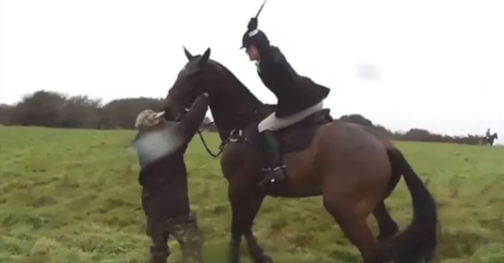 English Horsewoman Whips the Crap out of Hunting Protester