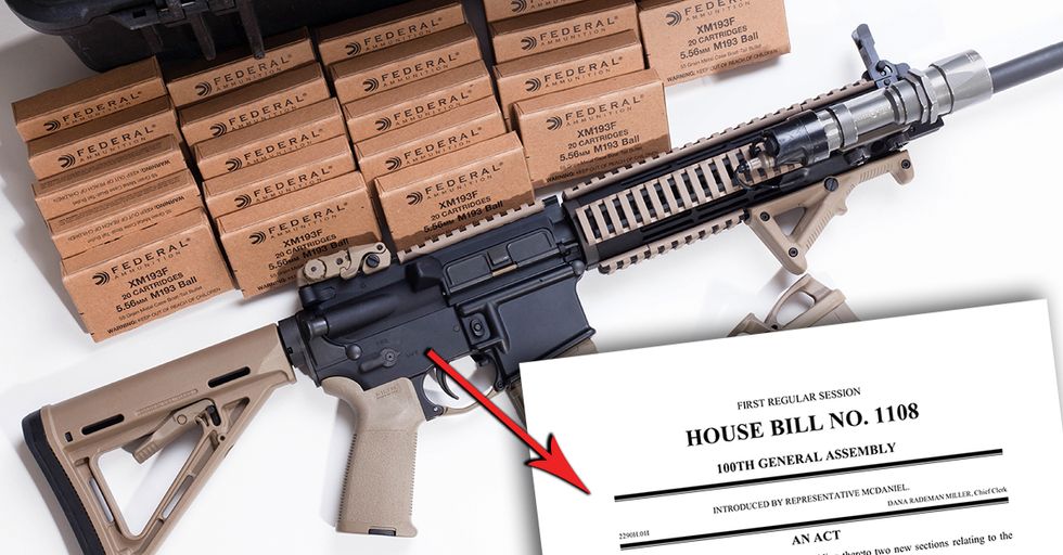 Missouri Legislator Proposes Bill to Require Ownership of AR-15 Rifles