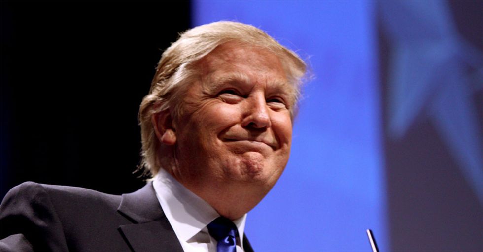 Donald Trump Shares 8 Facts About Climate Change Just in Time for the #ClimateTownHall