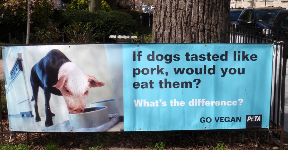 PETA on Coronavirus: Can't Stop, Won't Stop Protesting