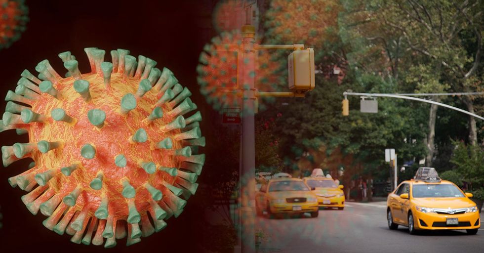 New York Antibody Report Suggests Millions of People ALREADY HAD COVID-19