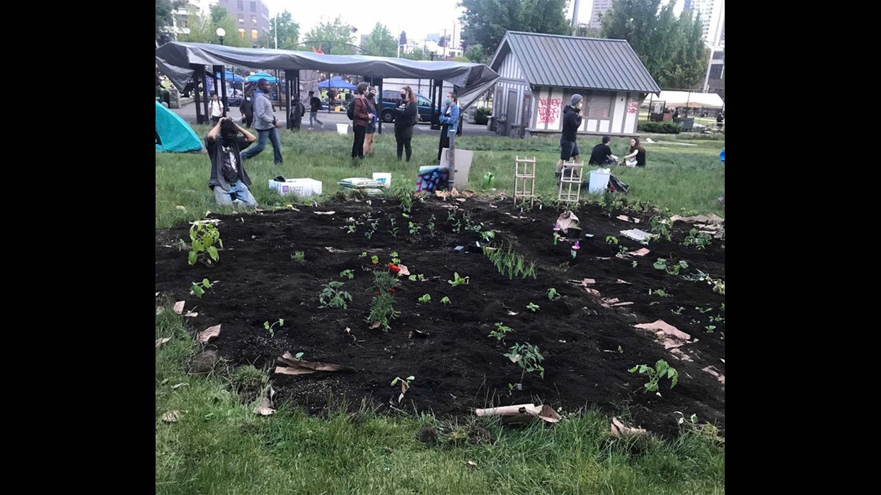 CHAZ (Rhymes with SPAZ) Tries Farming and It Goes Exactly How You'd Expect