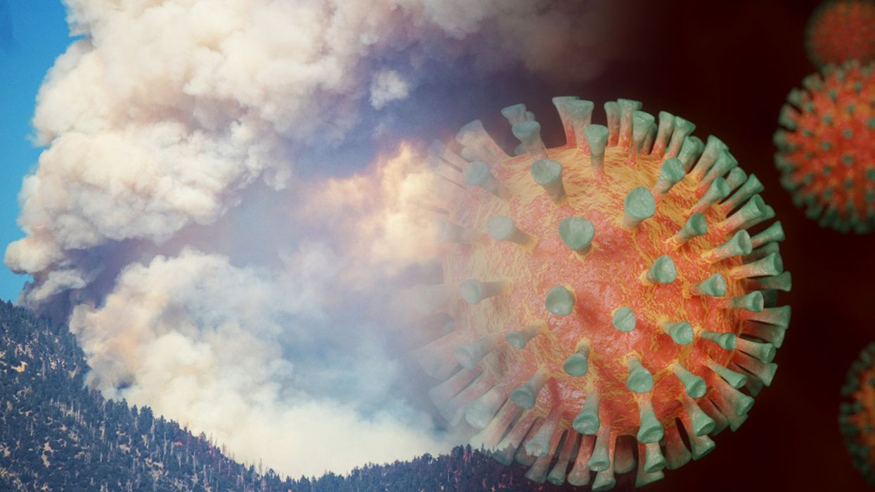 US Forestry Service Stopped Controlled Burns Over COVID Fears