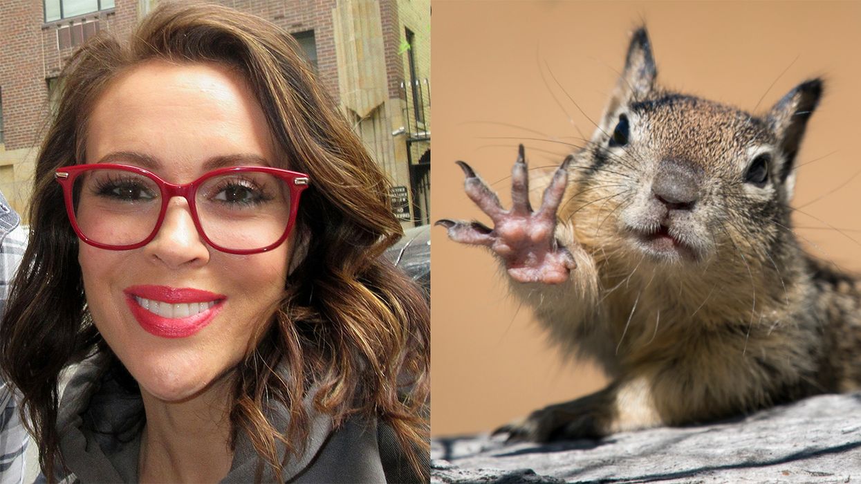 Anti-Cop Alyssa Milano Terrorizes Her Neighborhood by Calling Cops ... on a Teenager and a Squirrel