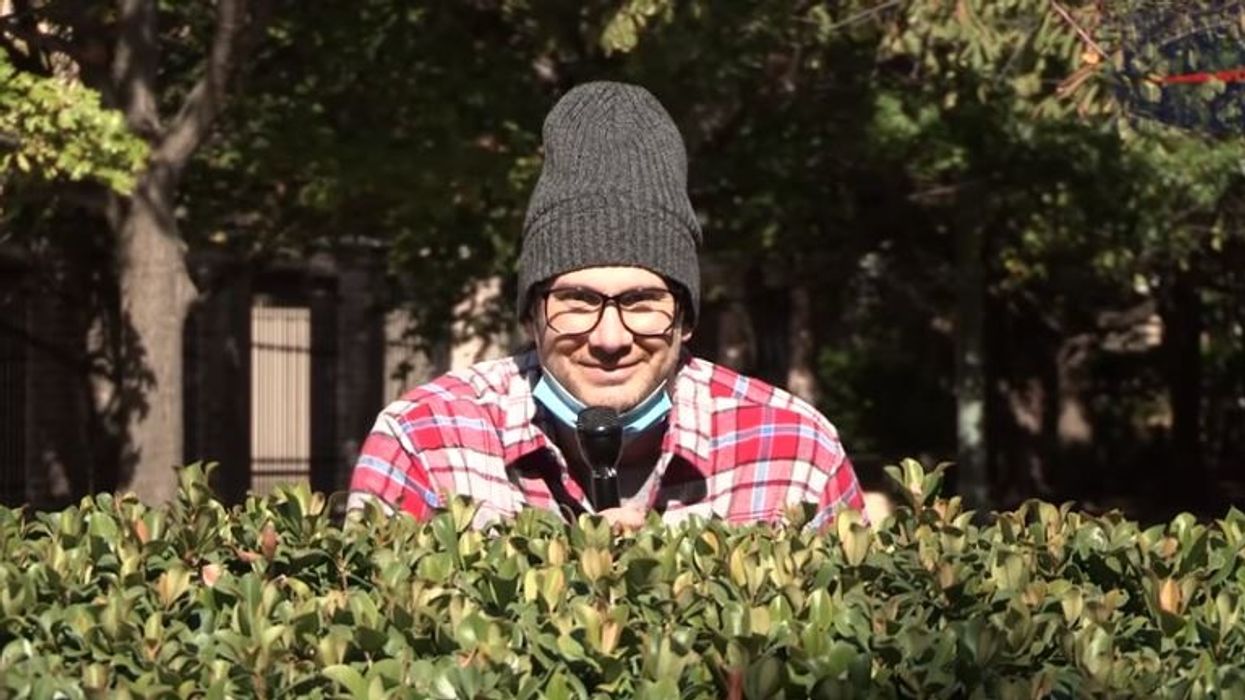 'Would your opinion of Trump change if he condemns Nazis?'