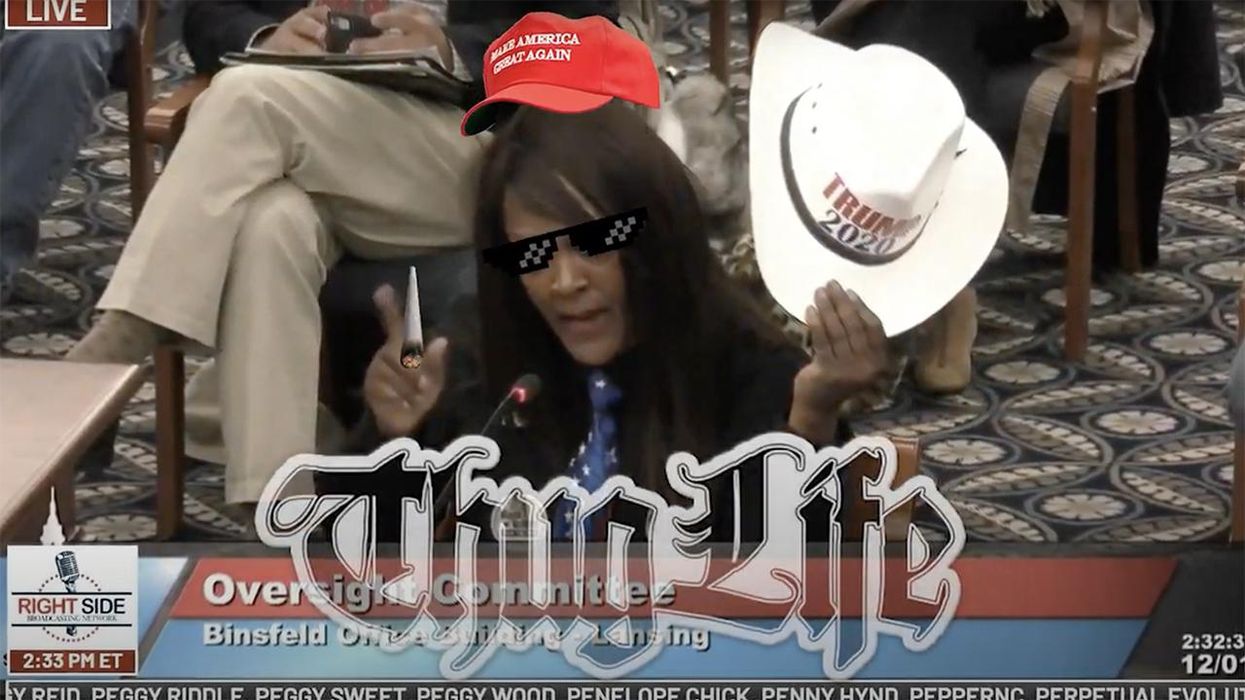 MAGA Lady Owns Michigan Election Hearings with Her Testimony