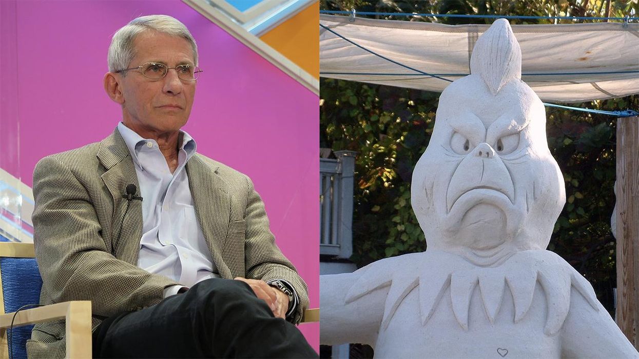 Facebook Safe: Anthony Fauci Goes Full Grinch, Demands Americans Not See Family for Christmas