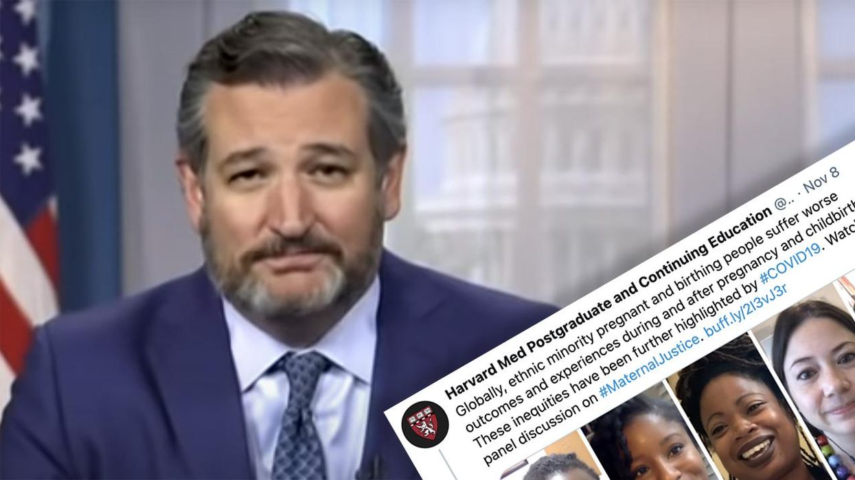 Harvard Calls Women 'Birthing People,' Ted Cruz's Two-Word Response Is Perfect