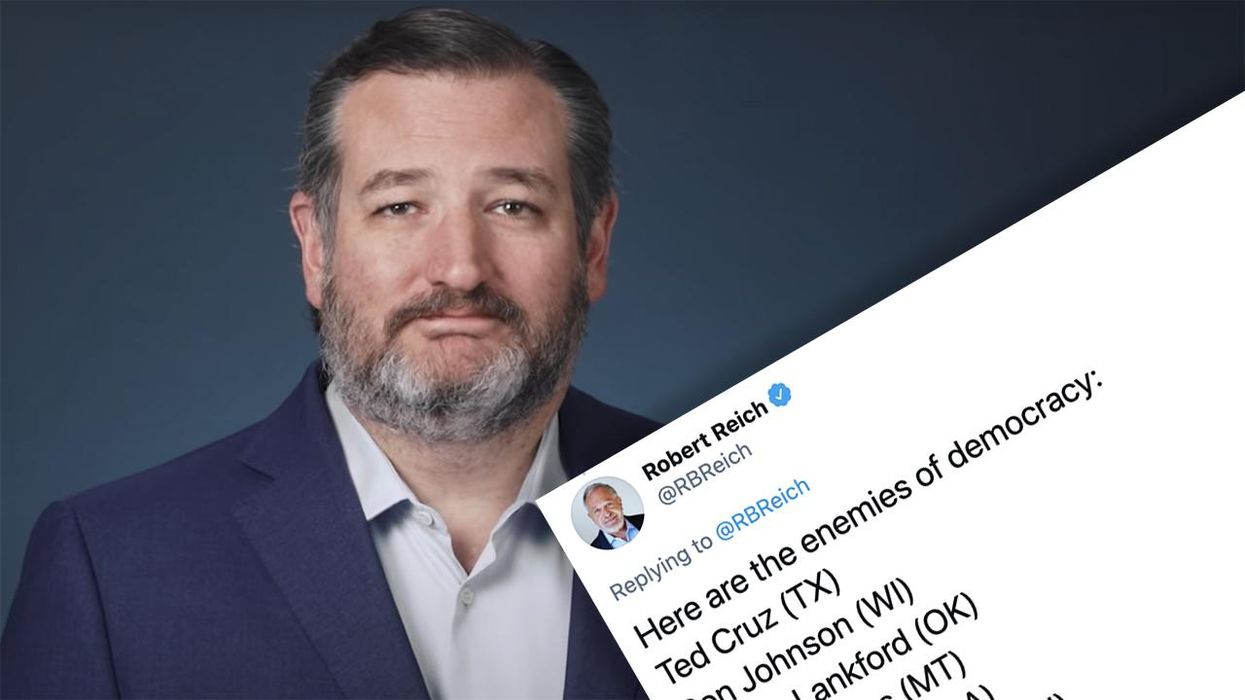 Liberal Economist Calls Ted Cruz "Enemy of Democracy," Cruz's Response is Pitch Perfect