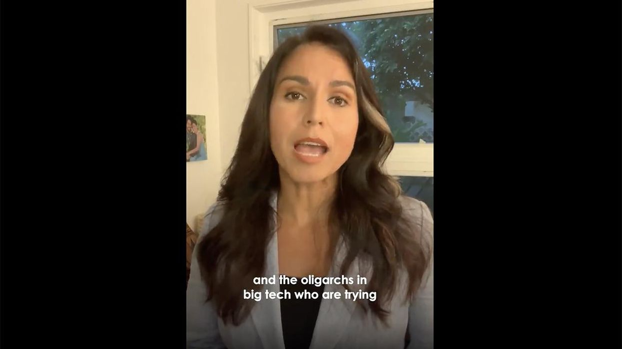 Tulsi Gabbard Describes Big Tech in Two Words: Domestic Enemies