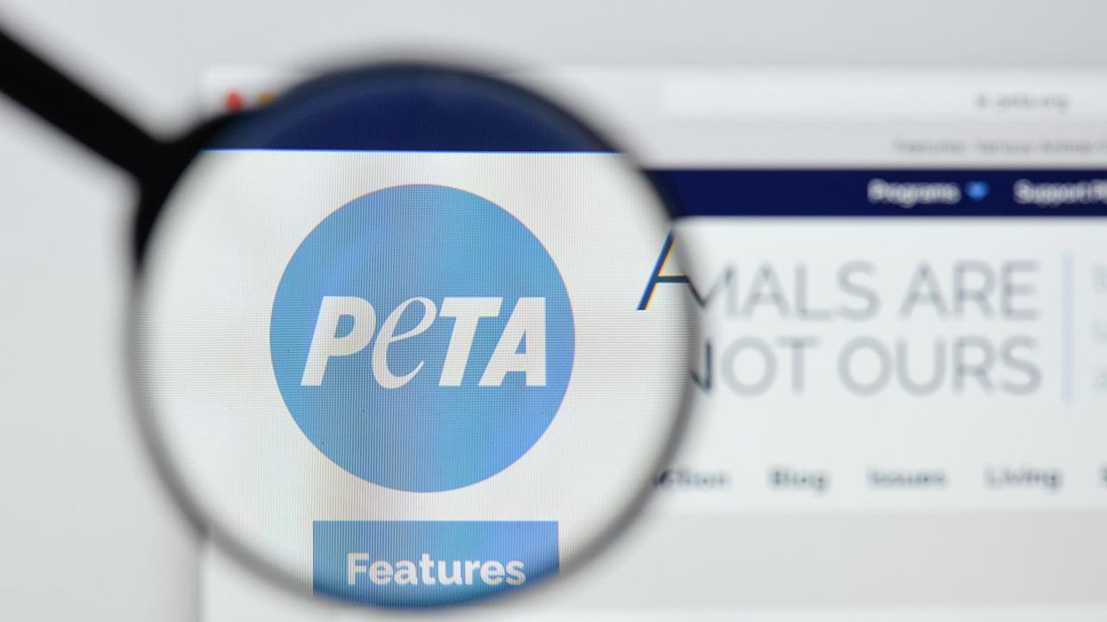 PETA Demands You Stop Using Animal-Based Insults, Gives Unintentionally Hilarious Examples